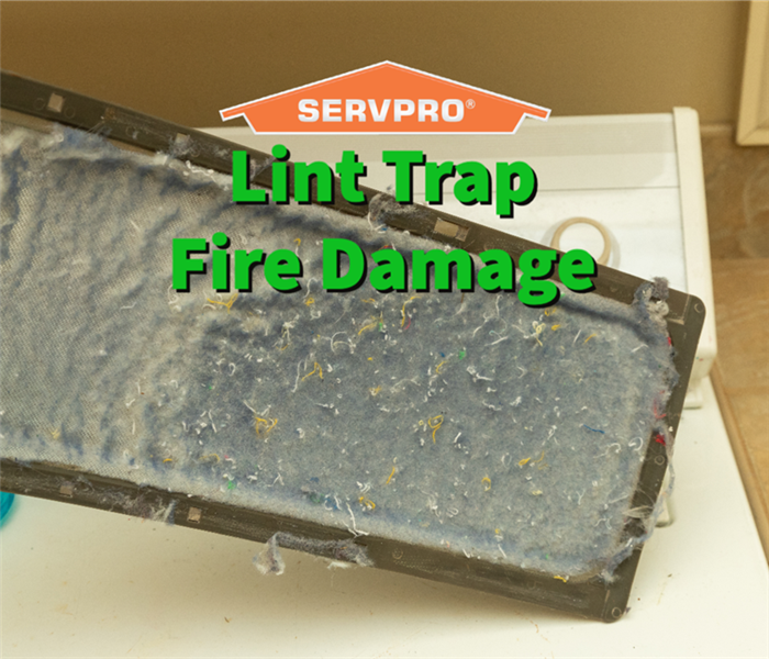 A dirty lint trap that caused a fire in a Union County home.
