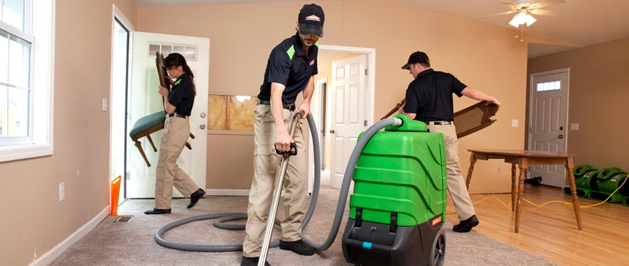 Ellijay, GA cleaning services